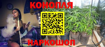 дурь Славгород
