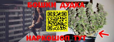 дурь Славгород