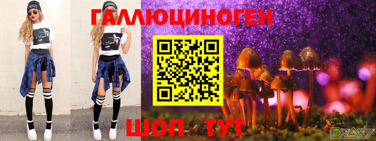 Белово  Псилоцибиновые грибы GOLDEN TEACHER  Вход с VPN 