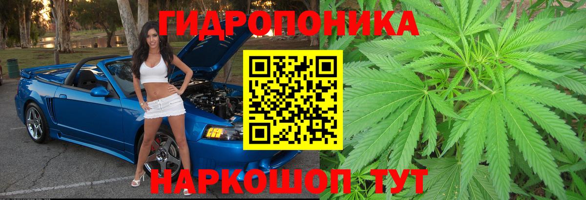 Белово  Каннабис тримм  Бошки Шишки Amnesia  Вход с VPN  Канабис планчик  Шишки марихуана марихуана 
